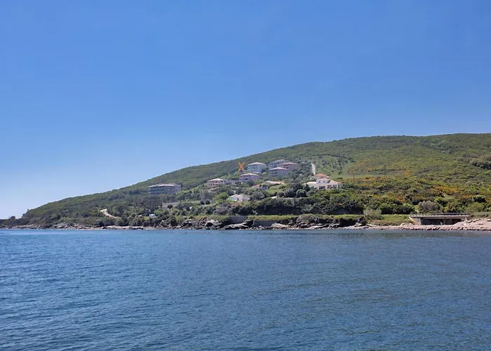 Appartamento Casa L'alivi *